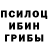 Псилоцибиновые грибы GOLDEN TEACHER ESERT CHANNEL