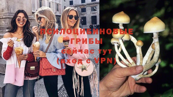 прущая мука Алзамай