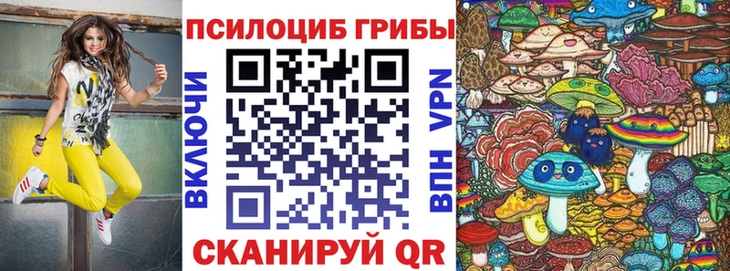 дарнет шоп  Хотьково  Псилоцибиновые грибы MAGIC MUSHROOMS 